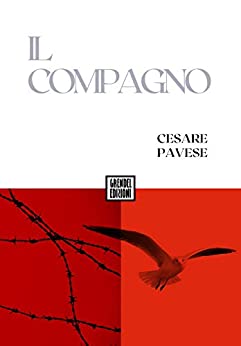 Il compagno