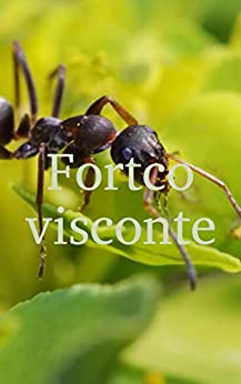 Fortco visconte