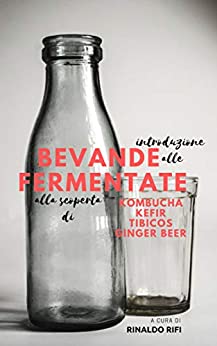 Introduzione alle bevande fermentate: alla scoperta di kombucha, kefir, tibicos e ginger beer