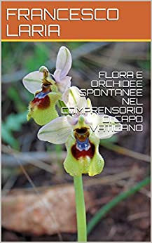 FLORA E ORCHIDEE SPONTANEE NEL COMPRENSORIO DI CAPO VATICANO