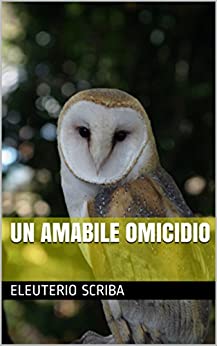 Un Amabile Omicidio