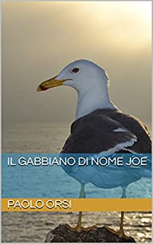 IL gabbiano di nome Joe