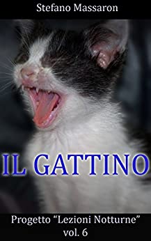Il Gattino (Progetto “Lezioni Notturne” Vol. 6)