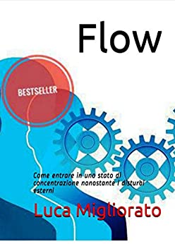 Flow: Come entrare in uno stato di concentrazione nonostante i disturbi esterni