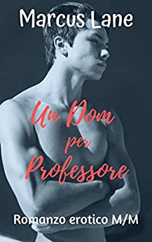 Un Dom per professore – La serie completa