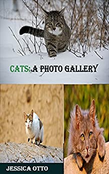 GATTI: una galleria fotografica