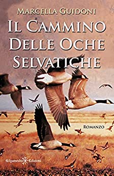 Il cammino delle oche selvatiche: Cammino di Santiago (ANUNNAKI – Narrativa)