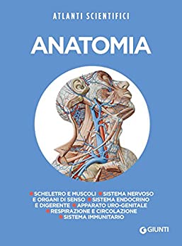 Anatomia