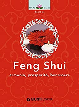 Feng Shui: Armonia, prosperità, benessere (Next Age Vol. 6)