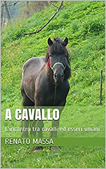 A cavallo: L’incontro tra cavalli ed esseri umani (Racconti e favole di animali Vol. 6)