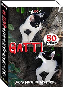 Gatti (50 immagini)