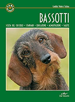 Bassotti (Cani di razza)