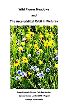 Wild Flower Meadows and The ArcelorMittal Orbit in Pictures (Album Fotografici Vol. 18)