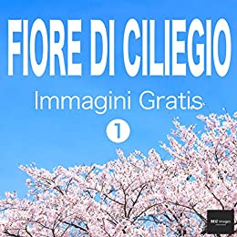 FIORE DI CILIEGIO Immagini Gratis 1 BEIZ images - Foto Gratis