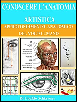 Conoscere l'anatomia artistica: Approfondimento anatomico del volto umano