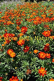 Colore Bella Natura