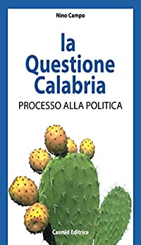 La questione Calabria: processo alla politica