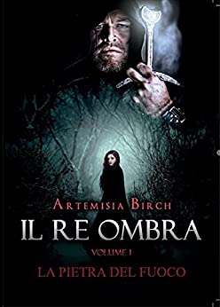 IL RE OMBRA VOL. I - LA PIETRA DEL FUOCO (LA SAGA DI WISE 2)