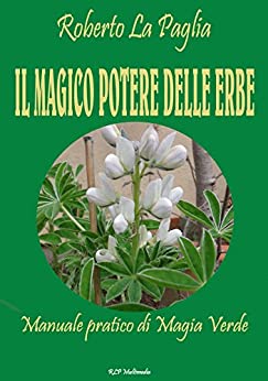 Il magico potere delle erbe: Manuale pratico di Magia Verde