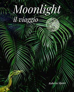 Moonlight: il viaggio