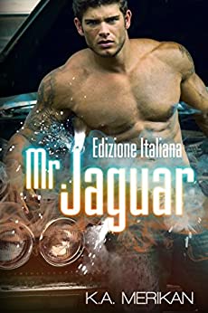 Mr. Jaguar (gay romance)