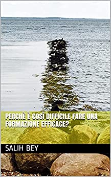 Perchè è così difficile fare una formazione efficace?