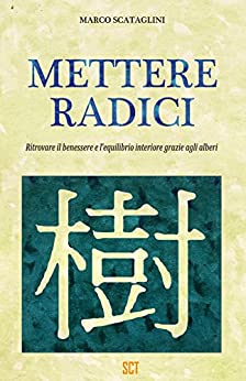 Mettere radici: Ritrovare il benessere e l’equilibrio interiore grazie agli alberi