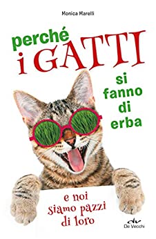 Perché i gatti si fanno d’erba e noi siamo pazzi di loro