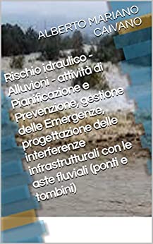 Rischio idraulico - Alluvioni - attività di Pianificazione e Prevenzione, gestione delle Emergenze, progettazione delle interferenze infrastrutturali con le aste fluviali (ponti e tombini)