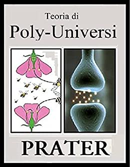 Teoria di Poly-Universi: Teoria del Tutto