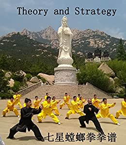 Teoria Completa del Qi Xing Tang Lang Quan: Dal Livello Principianti al Livello Maestri